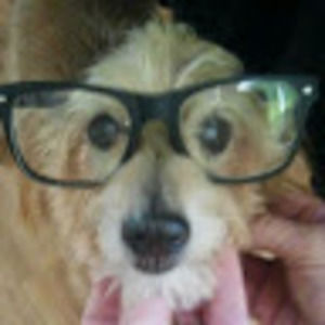 Meet your Posher, Christy